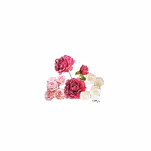 Sweet Garden Artificial Table Flower (S)