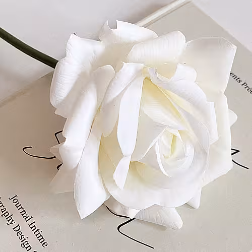 5pc Artificial Curl Edge Moisture Rose Bouquet (White)