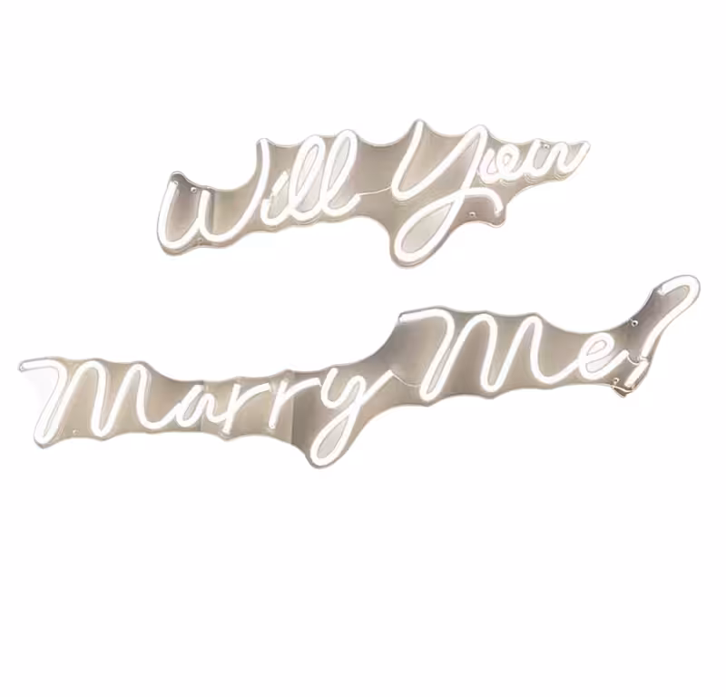 Will You Marry Me neon light signage in two cursive script pieces with warm white LED tubing on a mirrored acrylic backing