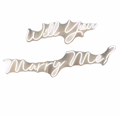 Will You Marry Me neon light signage in two cursive script pieces with warm white LED tubing on a mirrored acrylic backing