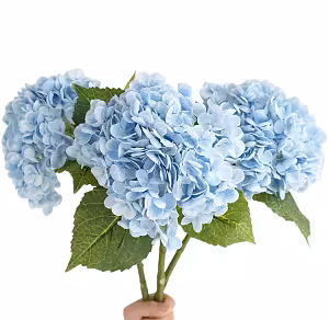 Hand holding three light blue Artificial Moisture Real Touch Hydrangea stems with full rounded blooms and detailed green veined leaves