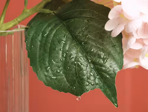 Close-up of a dark green veined Artificial Moisture Real Touch Hydrangea leaf with realistic water droplets dripping from the tip