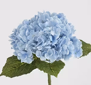 Single light blue Artificial Moisture Real Touch Hydrangea stem against a white background, showing a full dome-shaped bloom with green veined leaves below