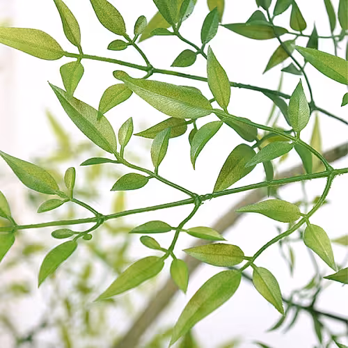 Artificial Potted Green Nandina Floor Standing Ornaments (Green)