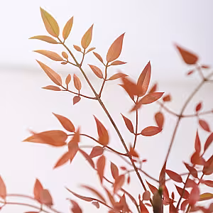 Artificial Potted Red Nandina Floor Standing Ornaments (Red)