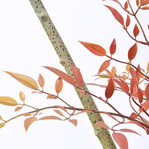 Artificial Potted Red Nandina Floor Standing Ornaments (Red)