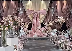 Giant Backdrop Decorative Bow Ribbon (Pink)