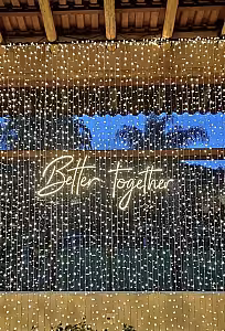 LED Curtain Light Warm White Fairy Lights (3 x 3 Meters)