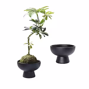 Modern Decorative Pedestal Bowl Vase (Black)