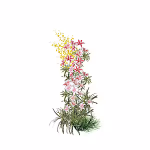 Prosperity Red Artificial Flower Arch (Right)