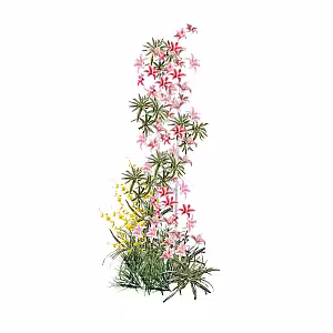 Prosperity Red Flower Arch (Left)